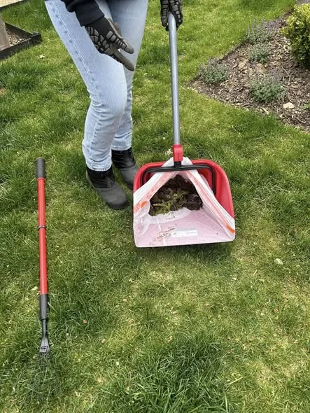 dog waste removal services